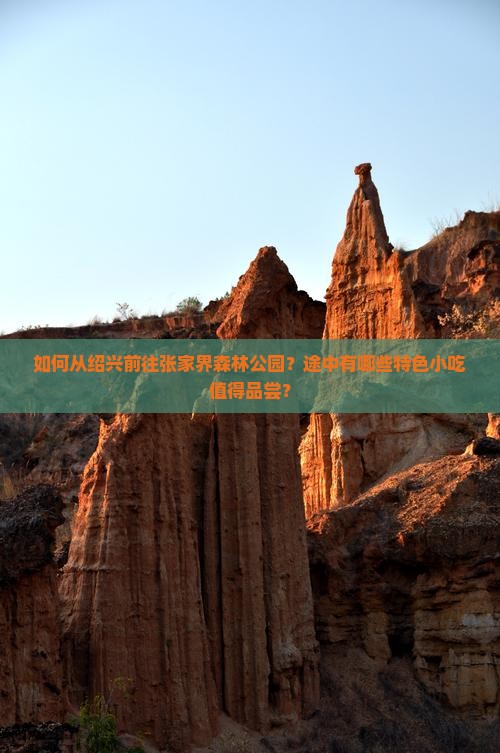 如何从绍兴前往张家界森林公园？途中有哪些特色小吃值得品尝？