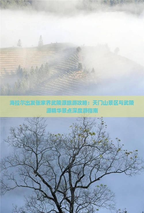 海拉尔出发张家界武陵源旅游攻略：天门山景区与武陵源精华景点深度游指南
