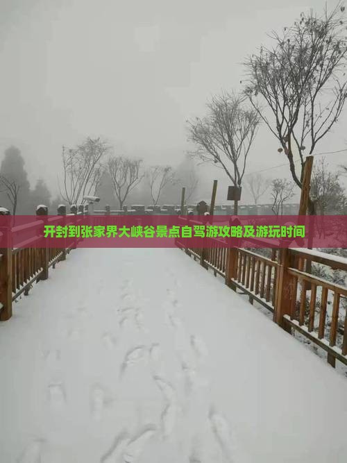 开封到张家界大峡谷景点自驾游攻略及游玩时间