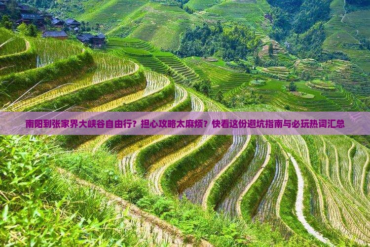 南阳到张家界大峡谷自由行？担心攻略太麻烦？快看这份避坑指南与必玩热词汇总