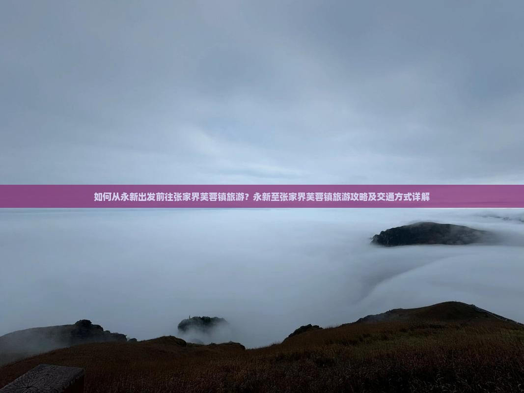 如何从永新出发前往张家界芙蓉镇旅游？永新至张家界芙蓉镇旅游攻略及交通方式详解