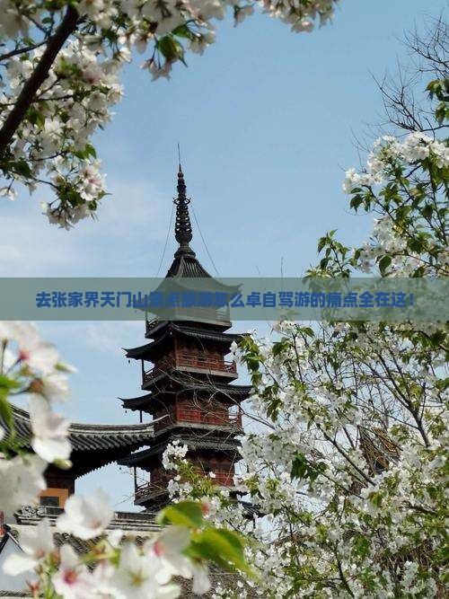 去张家界天门山景点旅游怎么卓自驾游的痛点全在这！