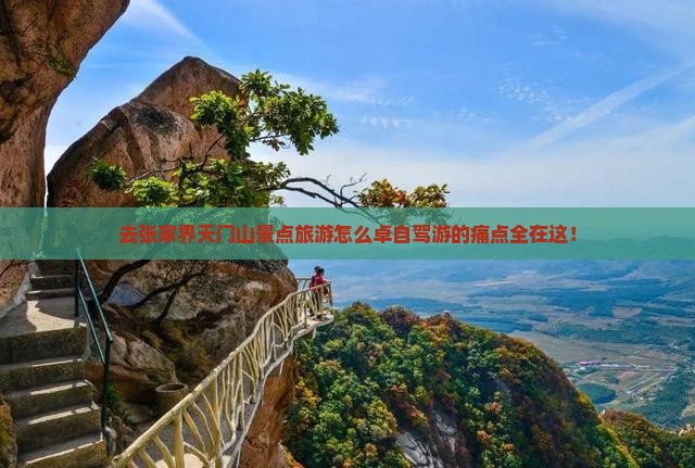 去张家界天门山景点旅游怎么卓自驾游的痛点全在这！