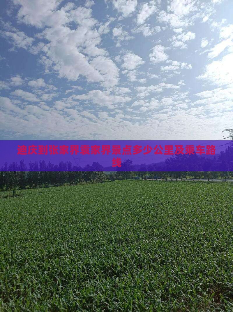 迪庆到张家界袁家界景点多少公里及乘车路线