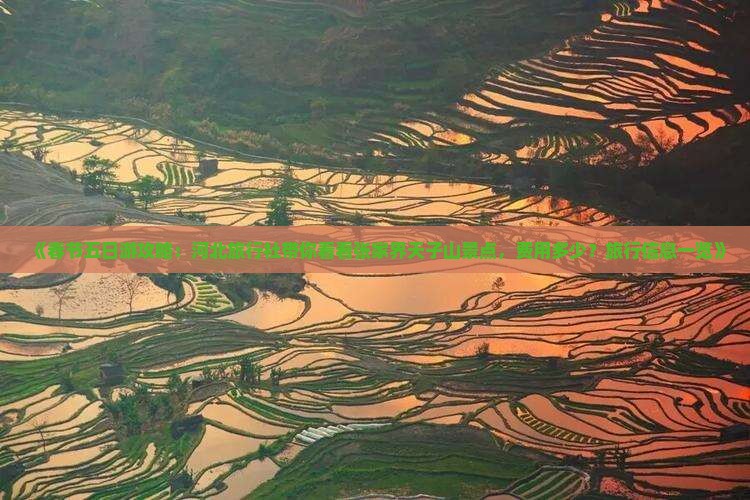 《春节五日游攻略：河北旅行社带你看看张家界天子山景点，费用多少？旅行信息一览》