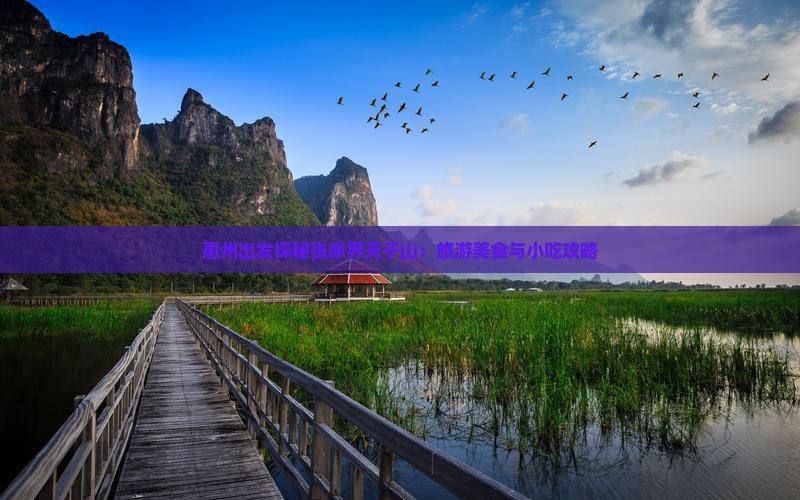 惠州出发探秘张家界天子山：旅游美食与小吃攻略