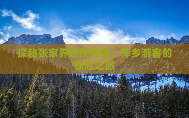 探秘张家界玻璃栈道：萍乡游客的惊险之旅