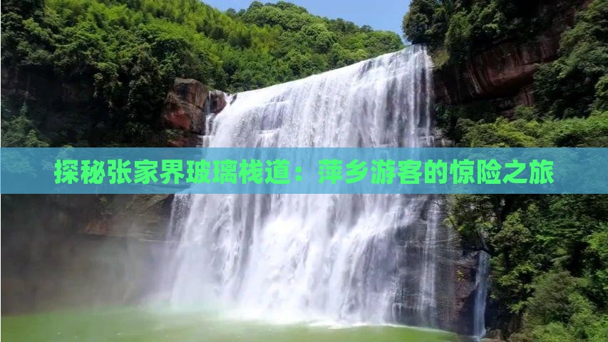 探秘张家界玻璃栈道：萍乡游客的惊险之旅
