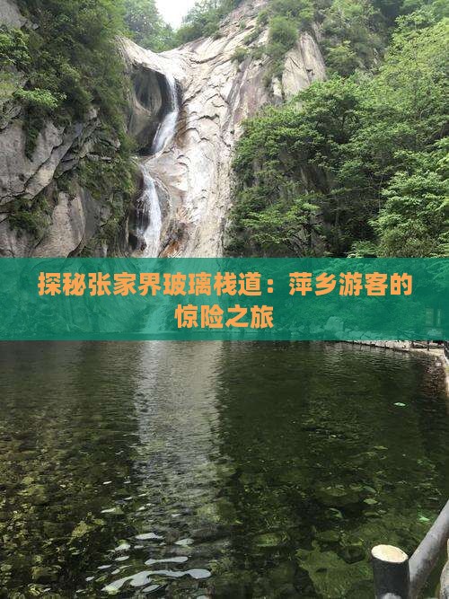 探秘张家界玻璃栈道：萍乡游客的惊险之旅
