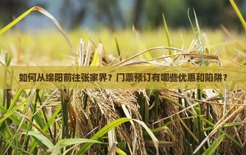 如何从绵阳前往张家界？门票预订有哪些优惠和陷阱？