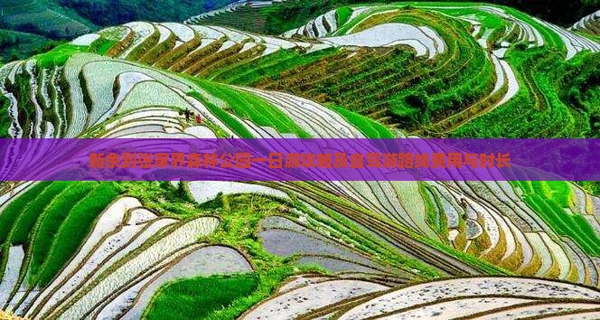 新余到张家界森林公园一日游攻略及自驾游路线费用与时长