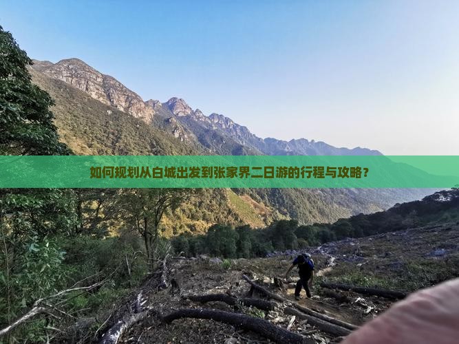 如何规划从白城出发到张家界二日游的行程与攻略？