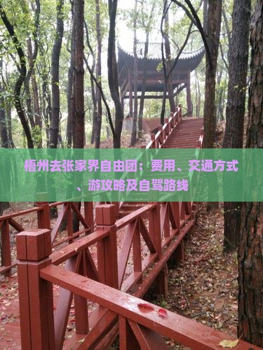 梧州去张家界自由团：费用、交通方式、游攻略及自驾路线