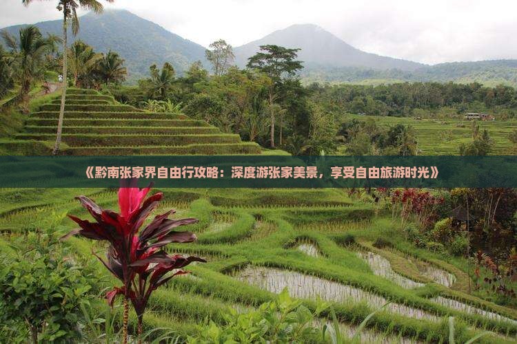 《黔南张家界自由行攻略：深度游张家美景，享受自由旅游时光》