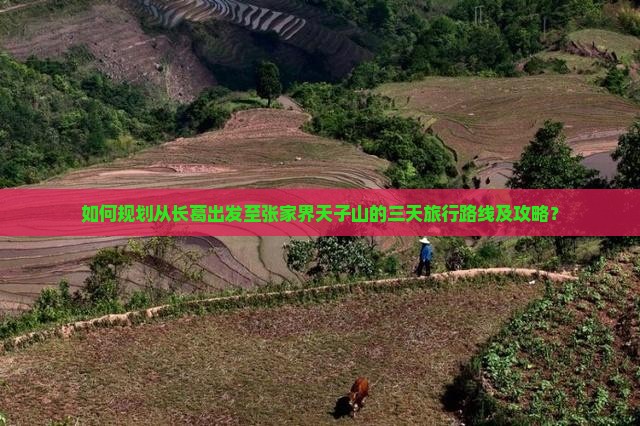 如何规划从长葛出发至张家界天子山的三天旅行路线及攻略？