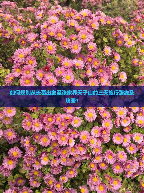 如何规划从长葛出发至张家界天子山的三天旅行路线及攻略？