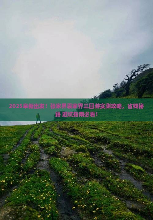 阜新到张家界袁家界三日游