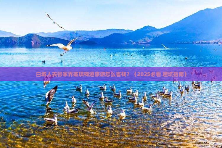 白城去张家界玻璃栈道旅游小吃