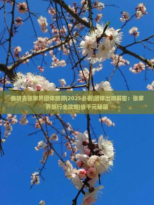 曲靖去张家界团体旅游