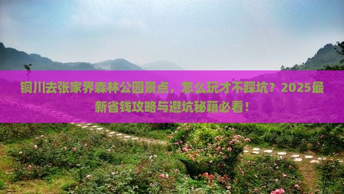 铜川去张家界森林公园景点 铜川去张家界森林公园景点