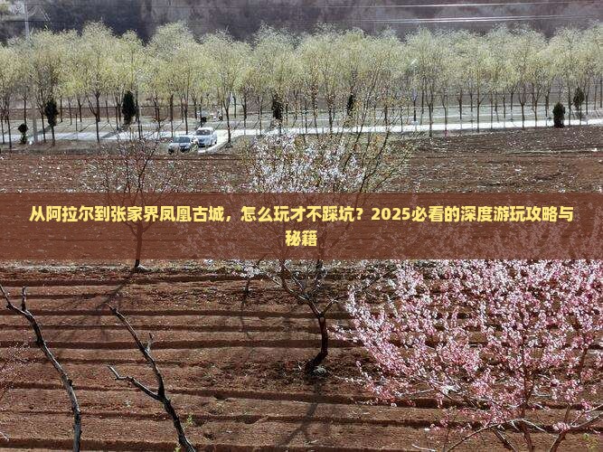 阿拉尔去张家界凤凰古城哪里玩
