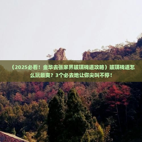 金华去张家界玻璃栈道必去地