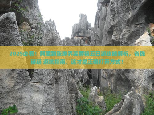 阿里到张家界芙蓉镇五日游