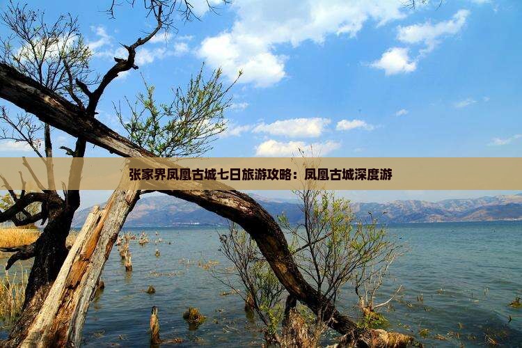 劳动节去张家界凤凰古城七日游