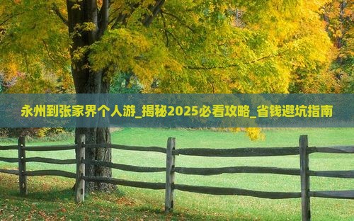 永州到张家界个人游