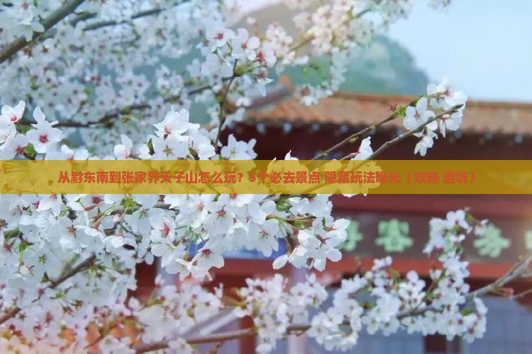 黔东南到张家界天子山哪里玩
