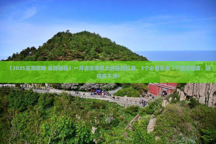 一月去张家界大峡谷四日游