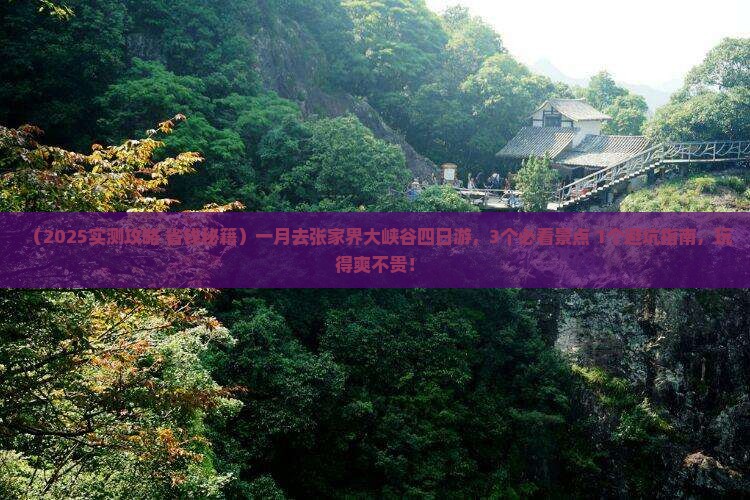 一月去张家界大峡谷四日游