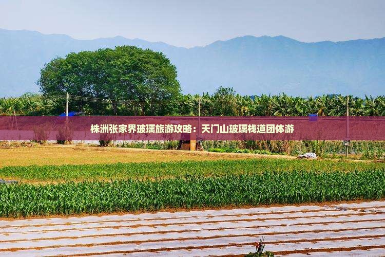 株洲去张家界玻璃栈道团体旅游