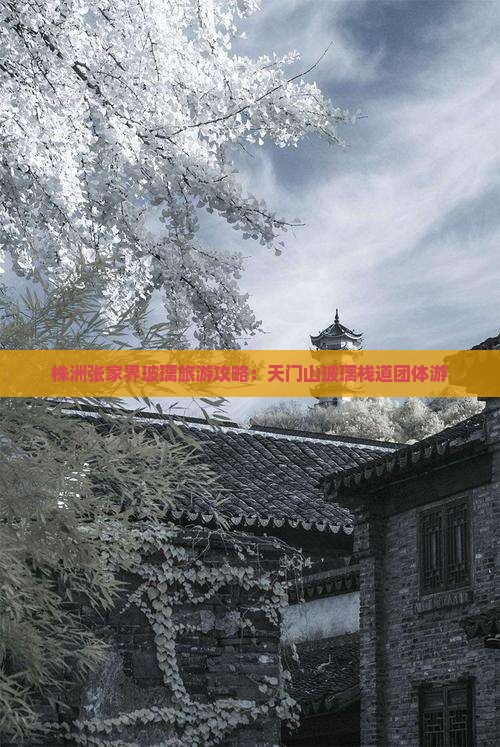 株洲去张家界玻璃栈道团体旅游