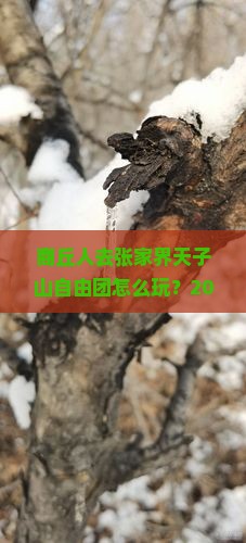 商丘去张家界天子山自由团