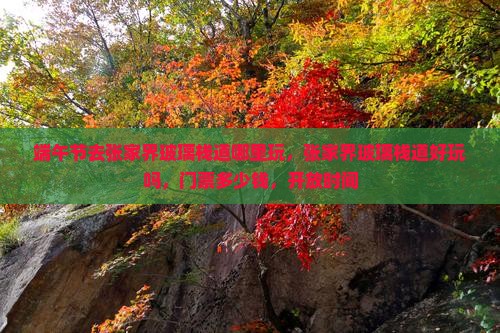 端午节去张家界玻璃栈道哪里玩