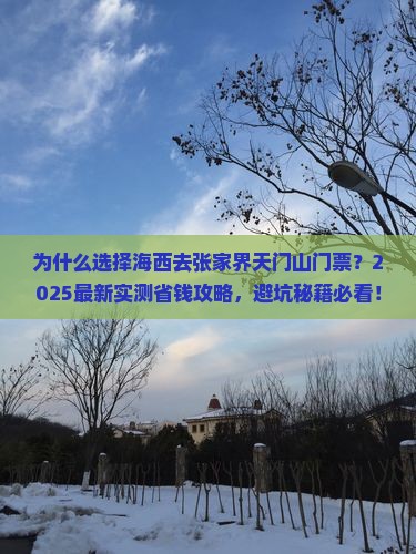 海西去张家界天门山门票