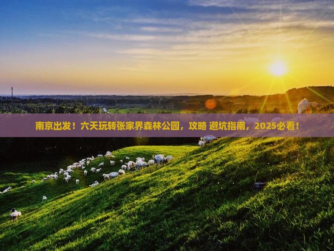 南京到张家界森林公园六日游