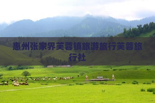 惠州去张家界芙蓉镇旅行社