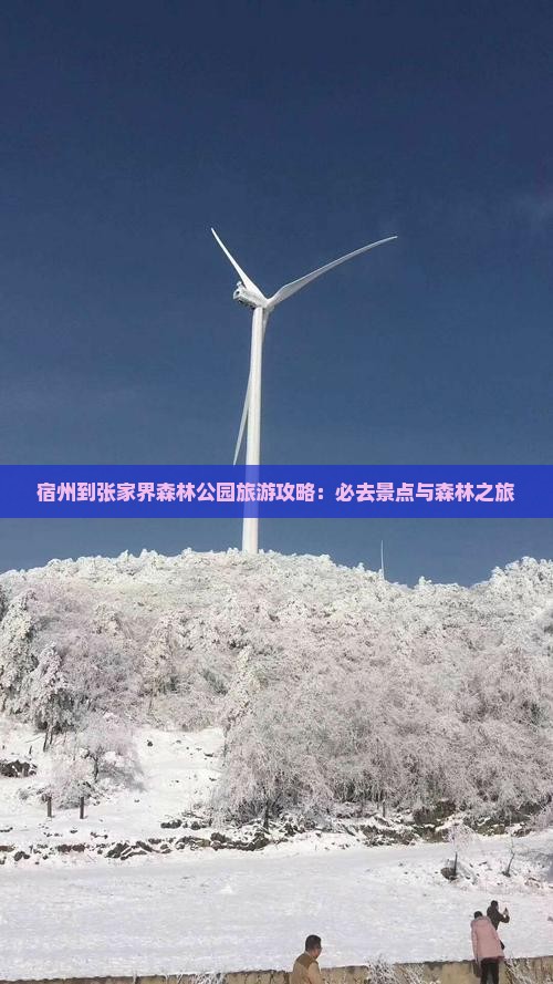 宿州到张家界森林公园必去地
