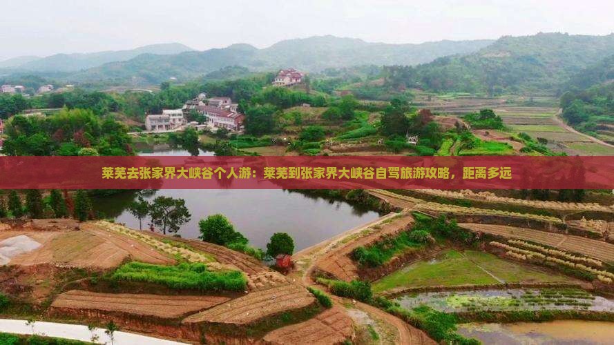 莱芜去张家界大峡谷个人游