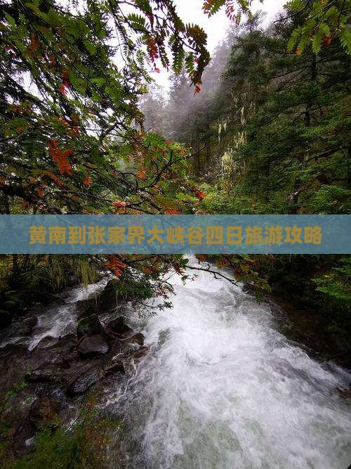 黄南到张家界大峡谷四日游