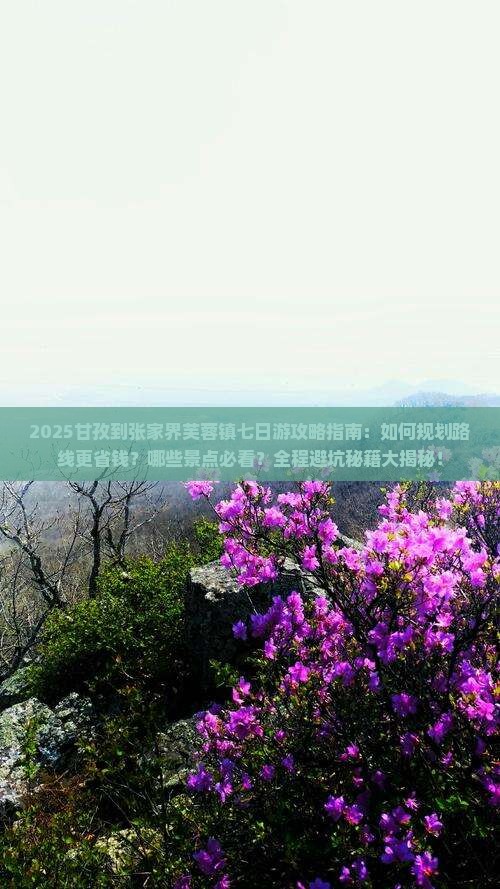 甘孜到张家界芙蓉镇七日游