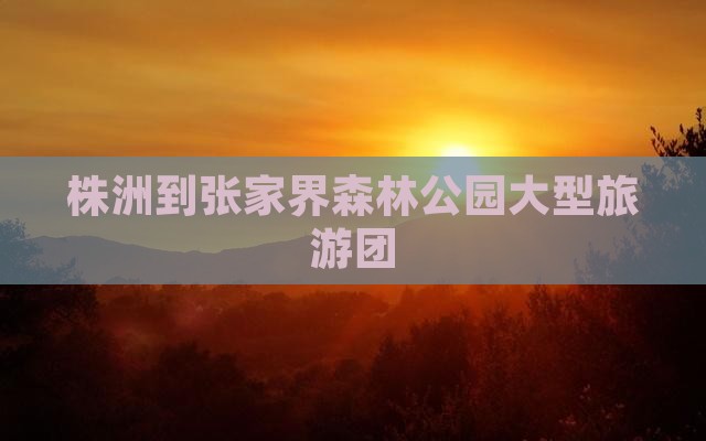 株洲到张家界森林公园大型旅游团