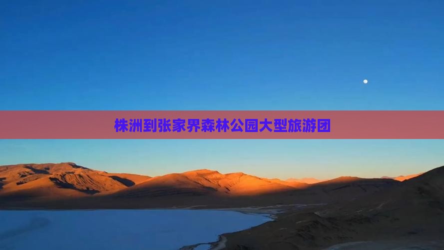 株洲到张家界森林公园大型旅游团