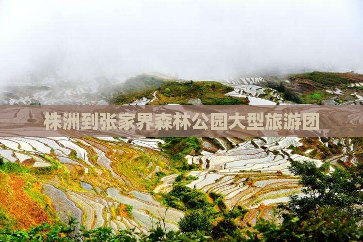 株洲到张家界森林公园大型旅游团