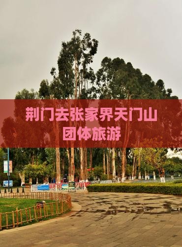 荆门去张家界天门山团体旅游