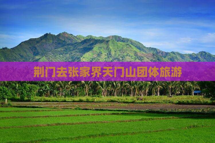 荆门去张家界天门山团体旅游