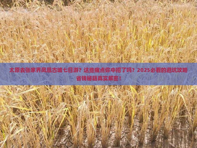 太原去张家界凤凰古城七日游