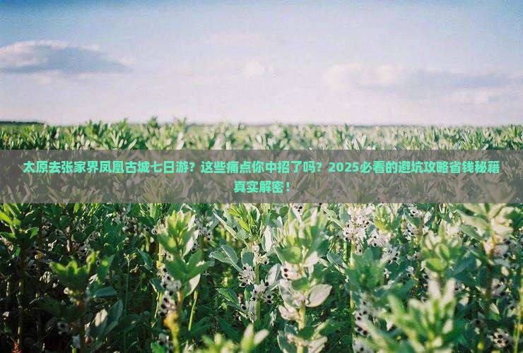 太原去张家界凤凰古城七日游